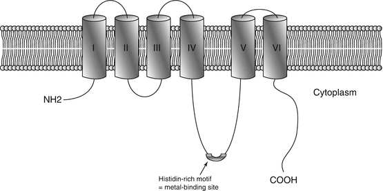 A332726_1_En_3_Fig1_HTML.gif