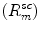 
$$ \left({R}_m^{sc}\right) $$
