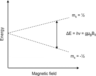 A309387_1_En_12_Fig2_HTML.gif