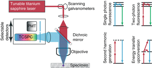 A309387_1_En_16_Fig9_HTML.gif