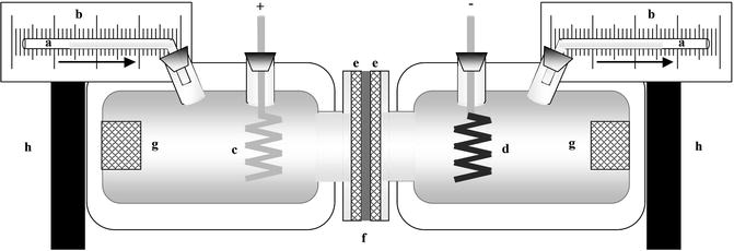 A309386_1_En_24_Fig2_HTML.jpg