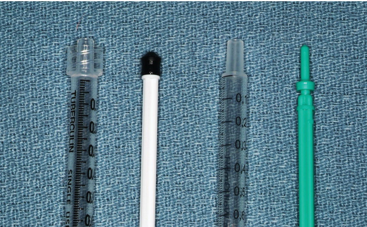 Image described by caption.