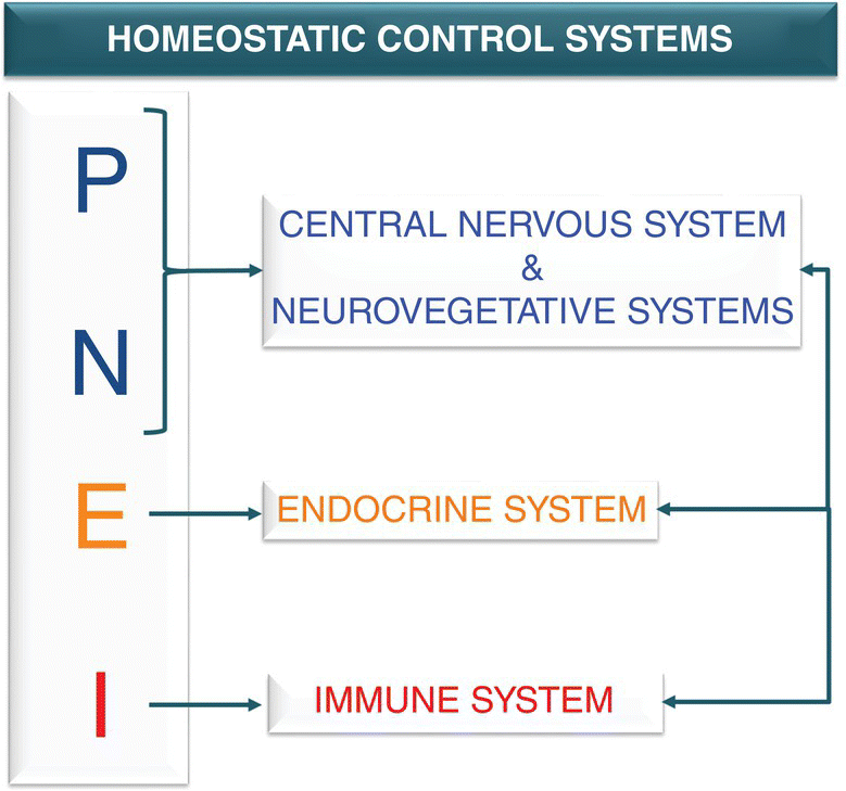 Schematic representation of homeostatic control systems within the PNEI network, with P and N for central nervous system and neurovegetative systems, E for endocrine system, and I for immune system.