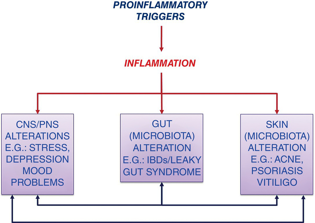 Image described by caption.