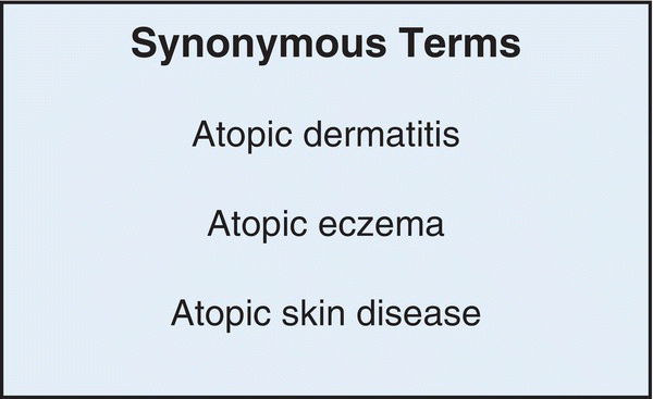 No alt text required.