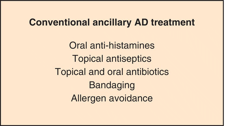 No alt text required.