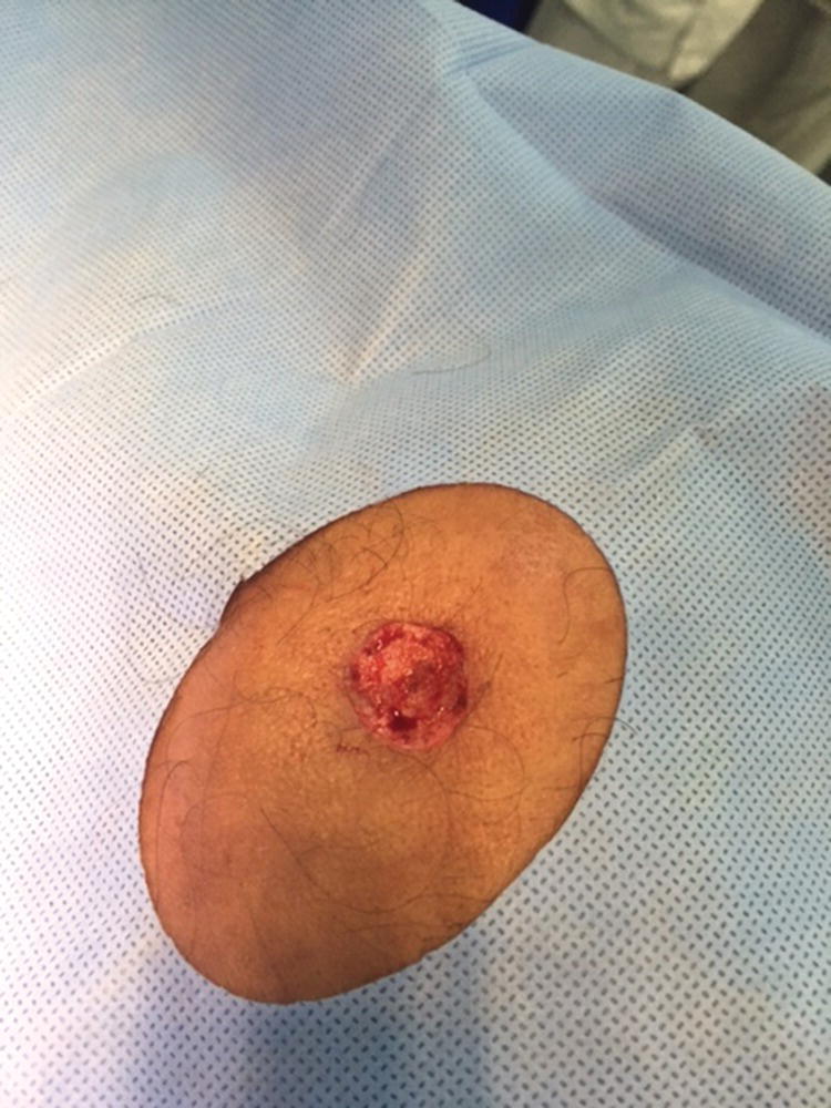 Image described by caption.