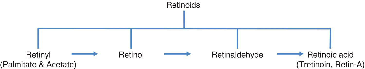 Schematic illustrating the structure of retinoids, with Retinoids branching to Retinyl, Retinol, Retinaldehyde, and Retinoic acid (Tretinoin, Retin-A), from left–right, being linked by rightward arrows.
