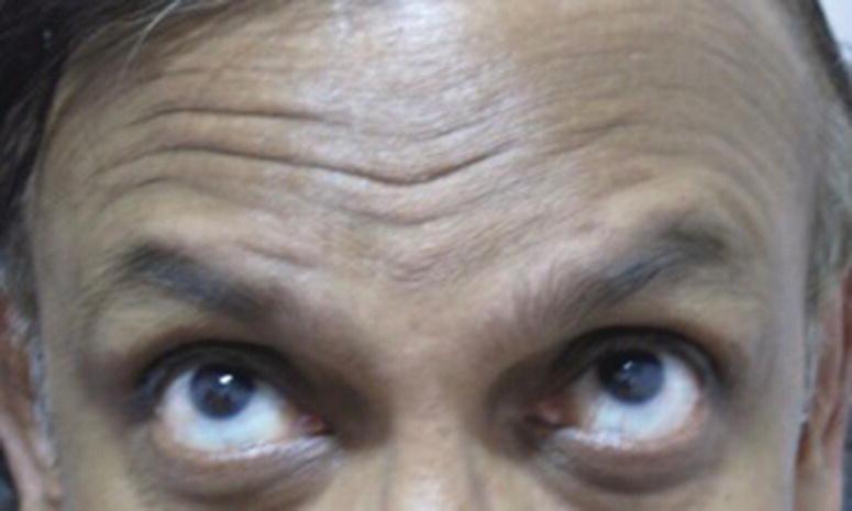 Image described by caption and surrounding text.