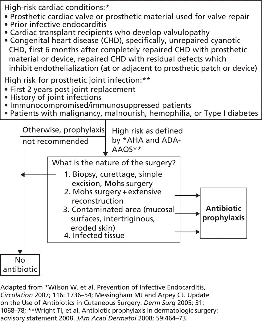 Algorithm from a box with lists of high-risk cardiac conditions and high risk for prosthetic joint infection to a box with list of the nature of the surgery, and then to boxes labeled no antibiotic and antibiotic prophylaxis.