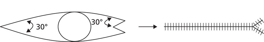 Schematic of an eye with 30° angle at the left and right (with V-shaped cut) sides, with a right arrow pointing to a horizontal line with a V-shaped line at the right.