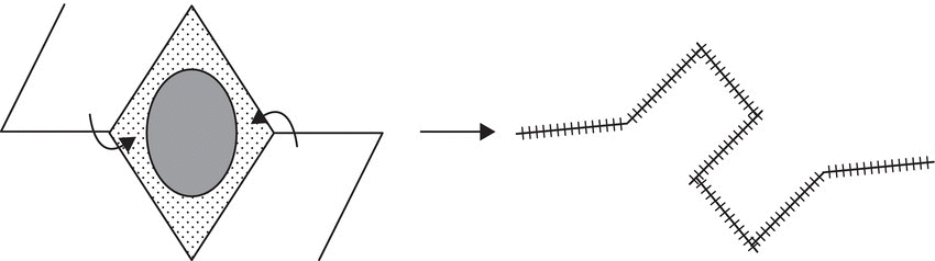 Schematic depicting a bi-rhombic flap, with a rightward arrow linking a diamond shape containing a shaded ellipse (left) and an S-shaped curve with hatched lines (right).