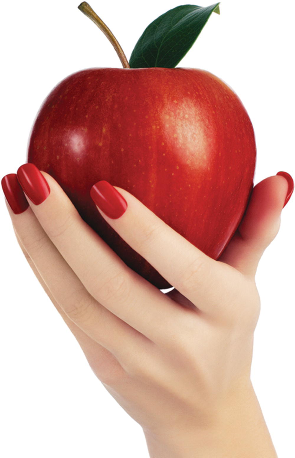 Schematic illustration of lacquered nails.