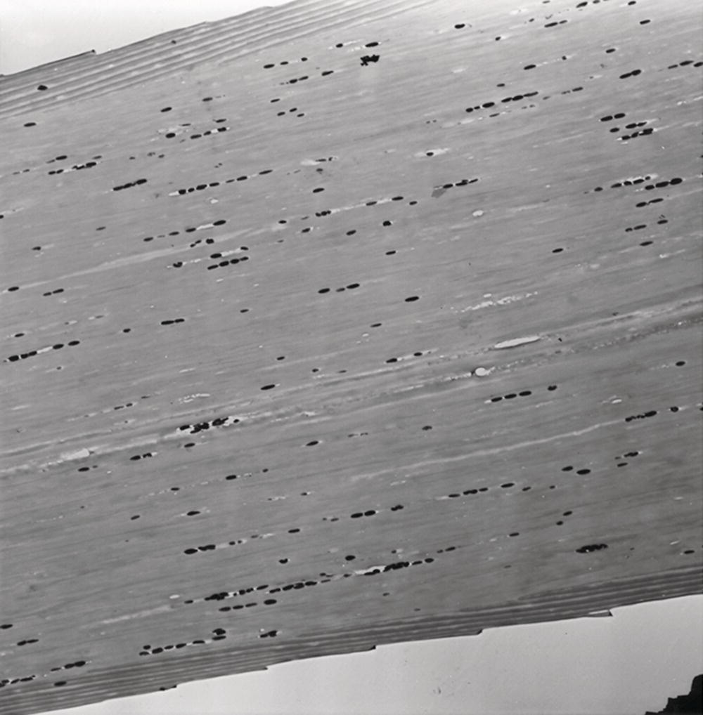 Schematic illustration of longitudinal section of hair fiber showing melanin distribution across the cortex.