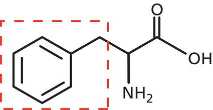 Schematic illustration of phenylalanine, one of the 20 proteinogenic amino acids. The “side chain” which is characteristic of each amino acid (here a phenyl group) is shown in the box.