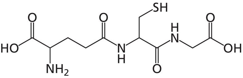 Schematic illustration of glutathione (γ-glutamyl-cysteinyl-glycine).