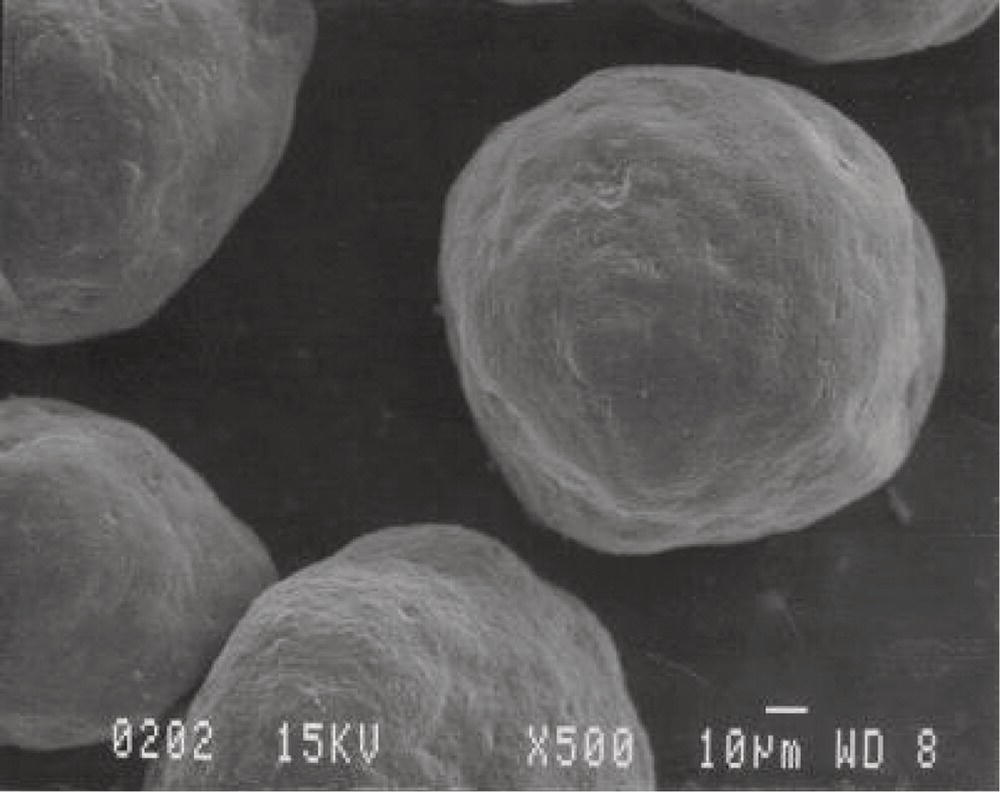 Schematic illustration of calcium hydroxylapatite microspheres, 25–45 μm in diameter.