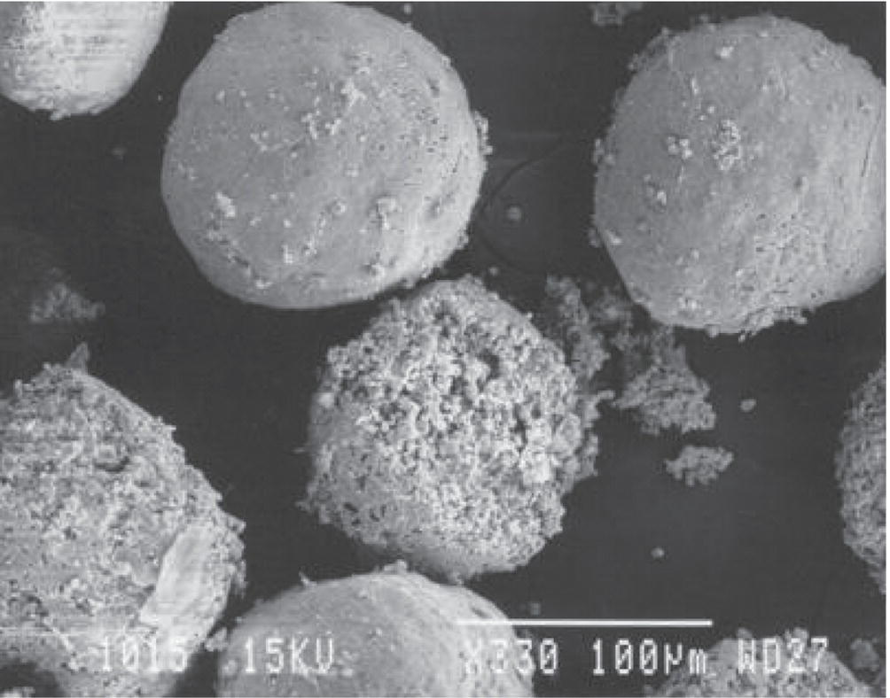Schematic illustration of gradual dissolution of microspheres.
