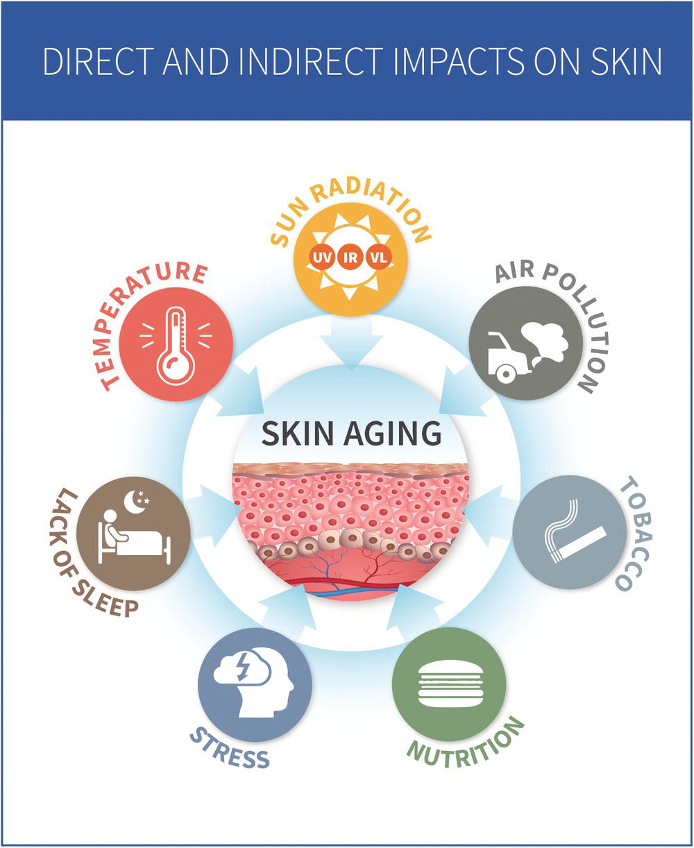 Schematic illustration of these exposome factors have been identified to potentiate skin aging.