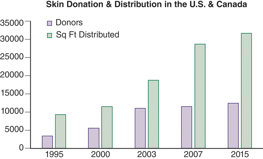 A double bar chart showing the number of donors and square feet distributed from 1995 to 2015, with both values steadily increasing and peaking in 2015. The horizontal axis of the double bar graph ranges from 1995 to 2015 in increments of 5 years, while the vertical axis ranges from 0 to 35,000 in increments of 5,000. The chart compares the number of donors and the square feet distributed over the years. In 1995, there were approximately 2,500 donors and 8,000 square feet distributed. By 2000, donors increased to around 6,000, with 11,000 square feet distributed. In 2003, the donor count rose to about 9,000, with 19,000 square feet distributed. In 2007, donors reached 10,000, and square feet distributed increased to 27,000. By 2015, the donor number peaked at approximately 11,500, with 30,000 square feet distributed. All values are approximate.