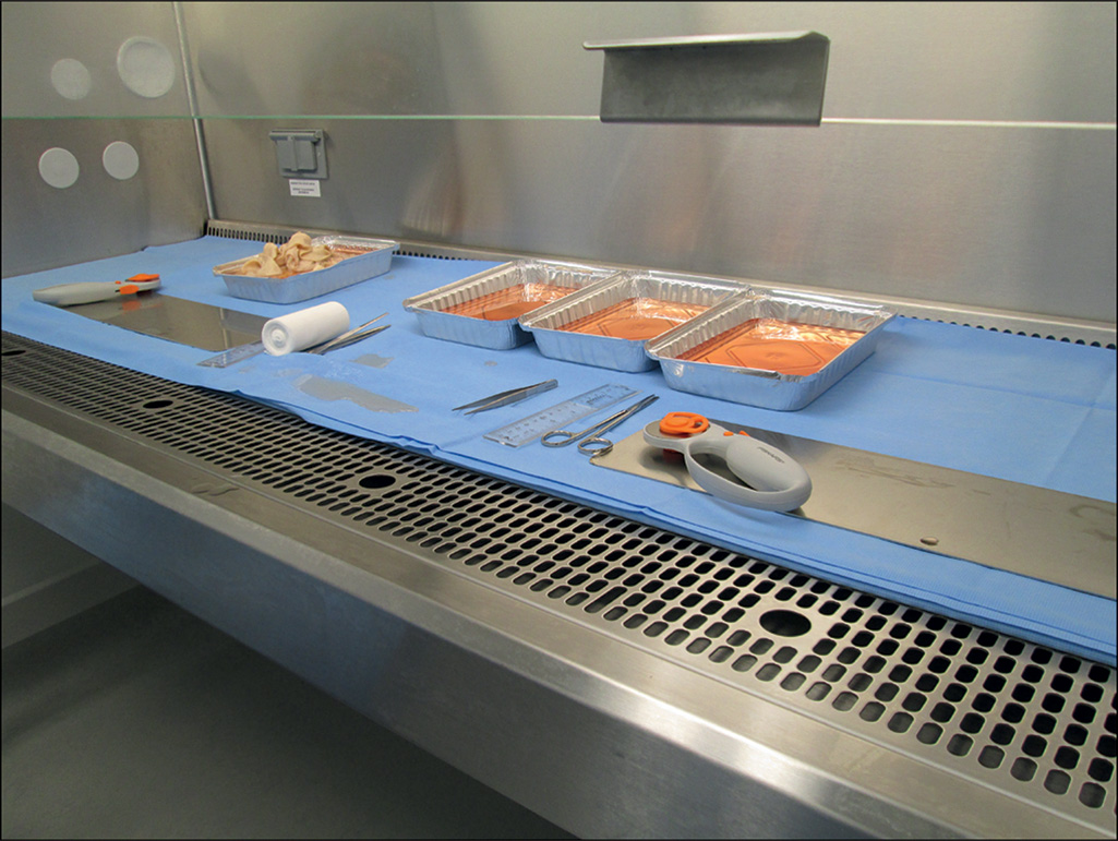 A clean, organized tissue processing area showing work surfaces, equipment, and containers in an aseptic environment.