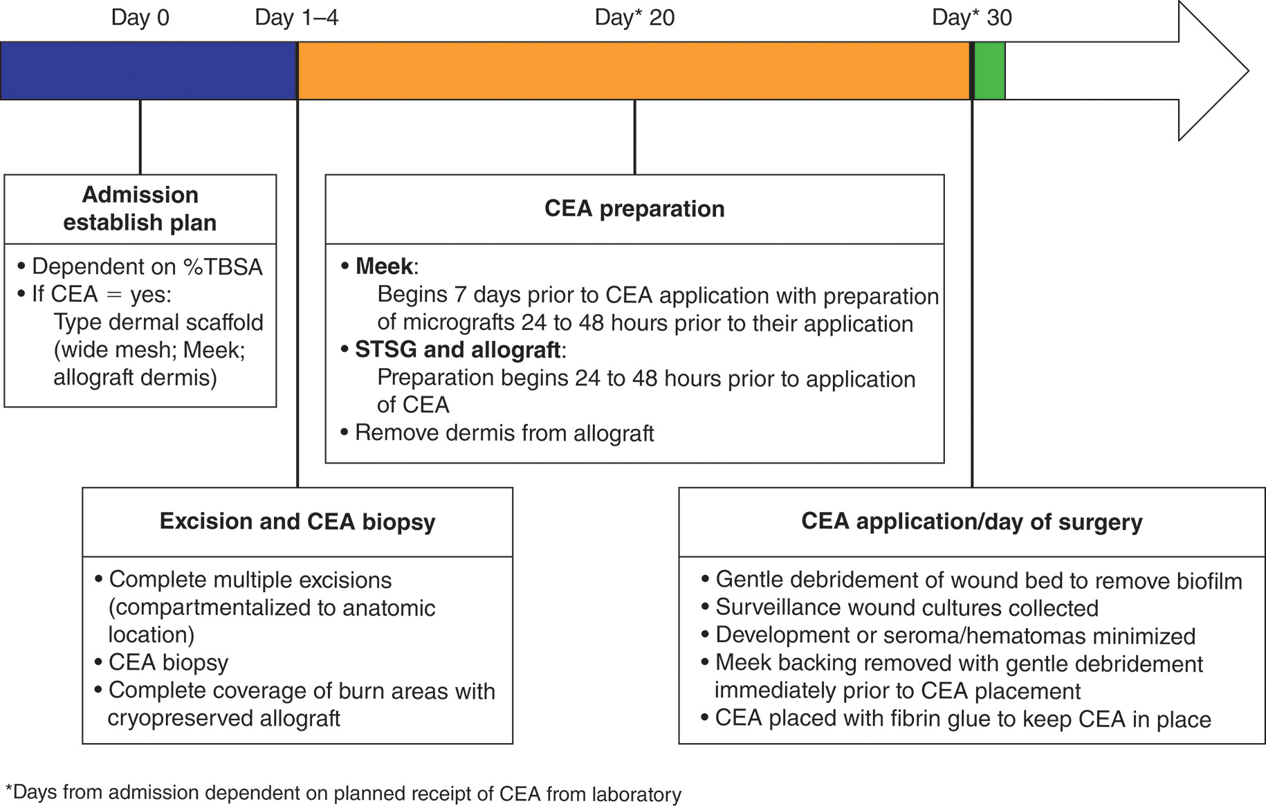 A timeline chart of burn treatment from Day 0 to Day 30. The timline depicts Day 0 of admission and establishment of a treatment plan based on the percentage of total body surface area burned. If a cultured epidermal autograft is planned, a dermal scaffold such as wide mesh, Meek, or allograft dermis is selected. Day 1 to 4 depicts excision and cultured epidermal autograft biopsy. Multiple excisions are completed and compartmentalized according to the anatomic location. A biopsy for cultured epidermal autograft is taken, and complete coverage of burn areas is achieved using cryopreserved allograft. Day 20 depicts cultured epidermal autograft preparation. For Meek grafts, preparation begins seven days before cultured epidermal autograft application, with micrograft preparation carried out twenty-four to forty-eight hours before application. For split-thickness skin grafts and allografts, preparation begins twenty-four to forty-eight hours before cultured epidermal autograft application, and dermis is removed from the allograft. Day 30 depicts cultured epidermal autograft application, which is also the day of surgery. Gentle debridement of the wound bed is performed to remove biofilm, and surveillance wound cultures are collected. Development of seromas and hematomas is minimized. Meek backing is removed with gentle debridement immediately before cultured epidermal autograft placement. The cultured epidermal autograft is then placed and secured with fibrin glue to keep it in position.