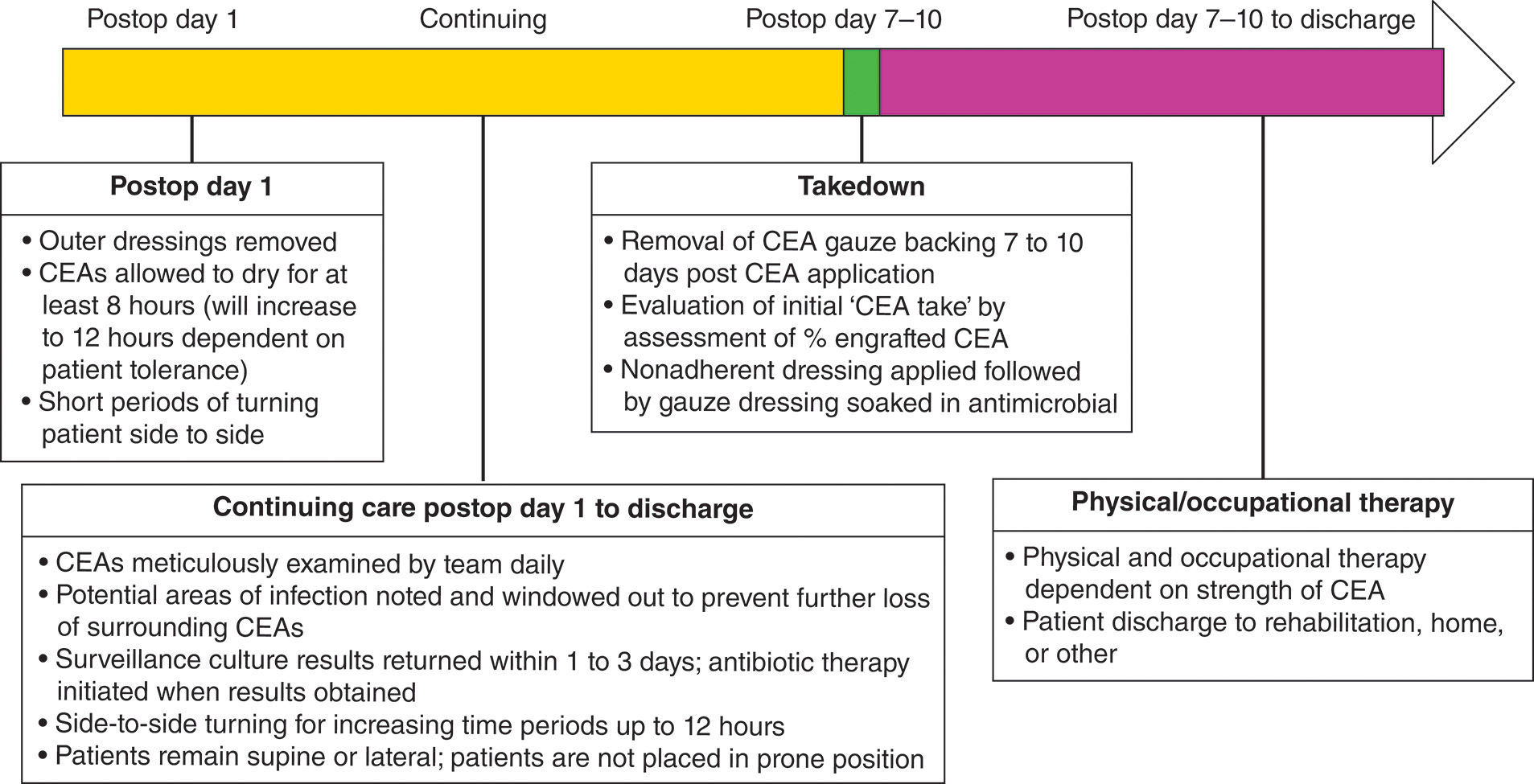 A timeline depicts postoperative care of C E A s from day 1 to 10 on, infection monitoring, takedown, and discharge with physical and occupational therapy. The timeline illustrating postoperative care from day 1 to day 7 to 10 and discharge for a patient with C E A s.. Postoperative day 1 depicts the removal of outer dressings, allowing C E A s to dry for at least 8 hours, with the duration potentially increasing to 12 hours depending on patient tolerance. Short periods of turning are encouraged while continuing care progresses. From postoperative day 1 to discharge, C E A s are meticulously examined daily by the care team. Potential areas of infection are noted and “windowed out” to prevent further loss of surrounding C E A s. Surveillance culture results return within 1 to 3 days, guiding antibiotic therapy as needed. From days 7 to 10, takedown is performed. This includes removal of C E A gauze backing 7 to 10 days after C E A application and evaluation of the initial C E A take by assessing the percentage of engrafted C E A s.. Nonadherent dressings are applied, followed by gauze dressings soaked in antimicrobial solution. Day 7 to 10 discharge depicts physical and occupational therapy, which is tailored based on the strength and stability of the C E A s. The patient is then discharged to rehabilitation, home, or other care settings.