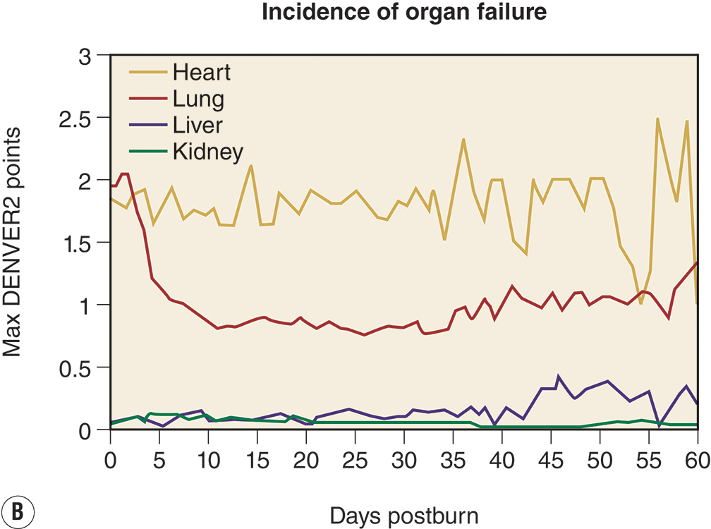 A two-part line graph comparing survival percent and organ failure scores over 60 days postburn, with separate lines for heart, lung, liver, kidney, and no organ failure. The two-part graphs are labeled A and B. Part A is titled percent survival and plots survival percent on the vertical axis, ranging from 0 to 100 percent, and days postburn on the horizontal axis, from 0 to 60. Five lines are labeled no organ, lung, heart, liver, and kidney. The no-organ line begins near 100 percent and remains highest across the timeline. The lung line declines rapidly between 10 and 25 days, the heart and liver lines fall moderately, and the kidney line stays nearly level. Part B is titled incidence of organ failure and plots Max Denver 2 points on the vertical axis from 0 to 3 against days postburn from 0 to 60 on the horizontal axis. Four lines represent the heart, lung, liver, and kidney. The lung line remains highest, the heart is moderate, and the liver and kidney stay close to baseline.