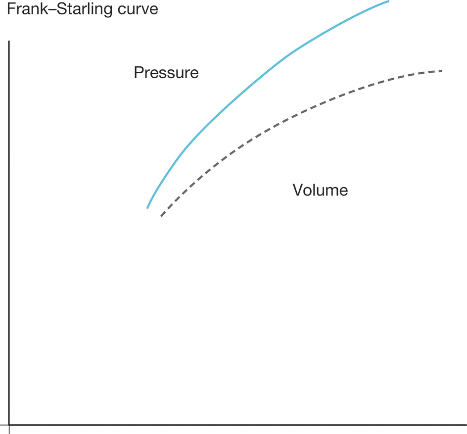 A graph shows Frank-Starling curves comparing pressure and volume relationship of the heart. The graph shows the Frank-Starling curve, which illustrates the relationship between ventricular pressure and volume in the heart. The curve shows how an increase in blood volume results in an increase in cardiac pressure. The graph demonstrates that as the volume of blood increases, the heart's ability to generate pressure also increases, but beyond a certain point, the increase in pressure begins to diminish. This relationship is crucial in understanding cardiac output and the heart's response to varying volumes of blood. The solid blue curve represents normal heart function, while the dashed gray curve shows a different scenario, possibly indicating heart failure or other conditions affecting cardiac performance.