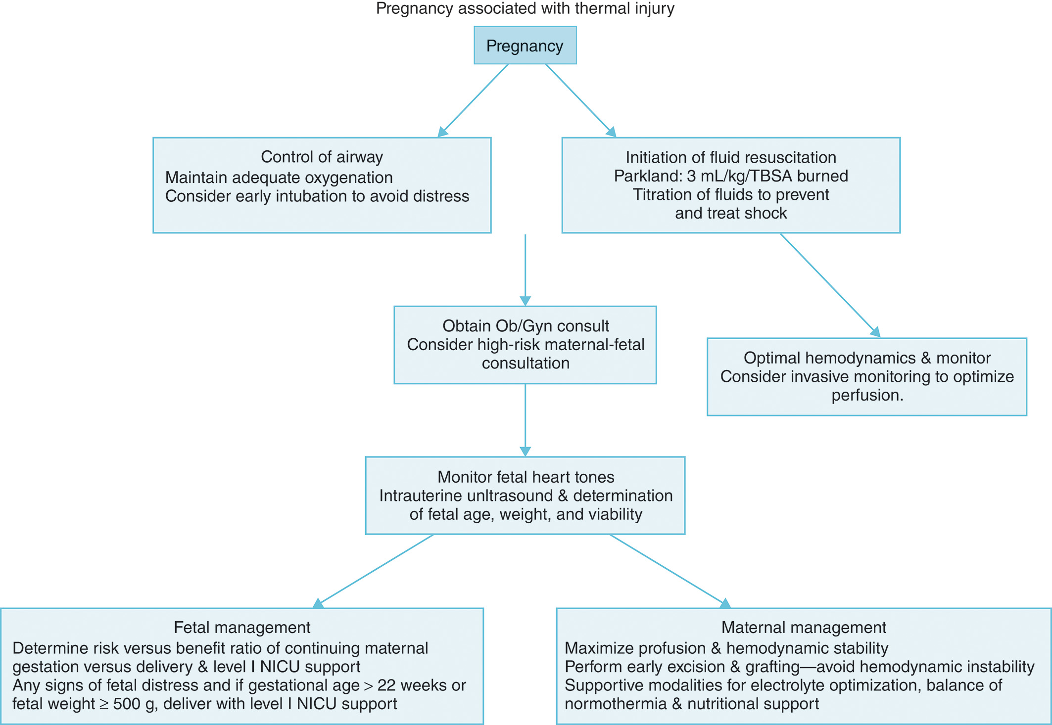 A flowchart shows a clinical algorithm for managing pregnant patients with thermal injuries, starting from pregnancy through airway control, fluid resuscitation, and fetal monitoring. The flowchart shows a comprehensive algorithm for treating pregnant patients with thermal injuries. At the top, Pregnancy branches into two initial parallel pathways, airway control with maintenance of adequate oxygenation and consideration of early intubation to avoid distress, and initiation of fluid resuscitation using the Parkland formula of 3 milliliters per kilogram per T B S A burned with fluid titration to prevent and treat shock. Both pathways converge to obtain obstetrics/gynecology consultation and consider high risk maternal fetal consultation. This leads to monitoring fetal heart tones using intrauterine ultrasound and determination of fetal age, weight, and viability. From the right pathway, there is also a step for optimal hemodynamics and monitoring with consideration of invasive monitoring to optimize perfusion. The algorithm then splits into two final management approaches, fetal management, which involves determining risk versus benefit ratio of continuing maternal gestation versus delivery and level I N I C U support, noting that any signs of fetal distress and fetal weight greater than or equal to 500 grams at 22 weeks or more warrants delivery with level I N I C U support; and maternal management, which focuses on maximizing profusion and hemodynamic stability, performing early excision and grafting to avoid hemodynamic instability, supportive modalities for electrolyte optimization, balance of normothermia, and nutritional support.