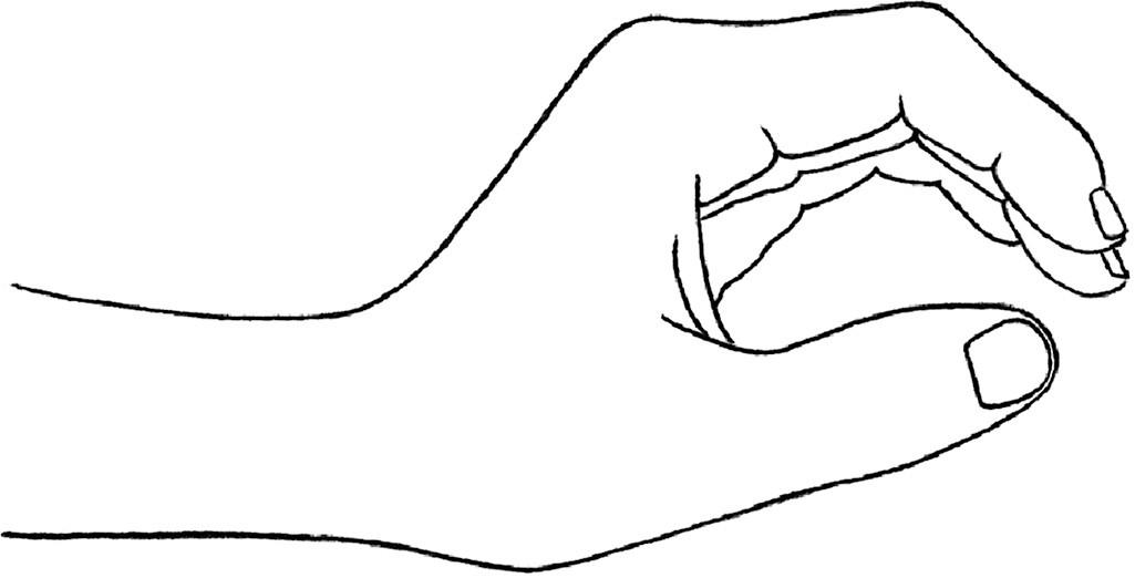 A line drawing of a hand with fingers partially curled. A line drawing of a hand viewed from the side shows the wrist on the left and the palm facing downward. The thumb is extended outward and slightly bent at the joint. The index finger is curved inward toward the thumb. The middle finger, ring finger, and fifth finger are also curved inward but less prominently than the index finger.