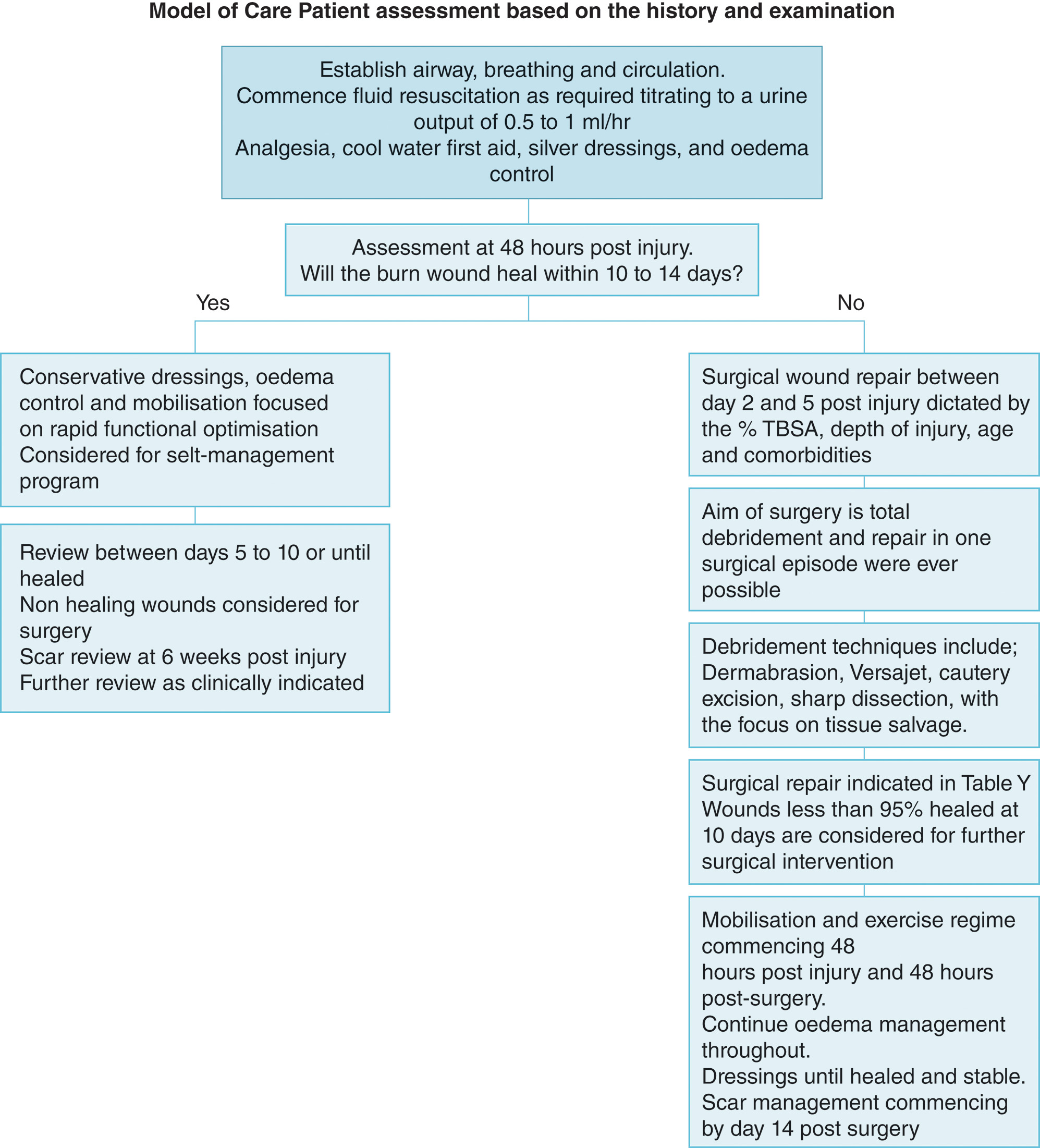 A flowchart features burn care treatment pathways based on injury severity and timing. The diagram titled Model of Care burn unit assessment based on the history and examination shows a flowchart structure. At the top is a box stating Transfer within 24 hours following resuscitation and stabilization of airway, breathing, and circulation to the regional burn unit for patients with percentage T B S A greater than 10 percent. Below this are two main pathways. The left pathway header shows Conservative minimal scarring management with bullet points listing Superficial partial thickness wounds, Dressings with antimicrobial agent, Review Monday and Thursday in burn unit outpatients, healed within 10 to 14 days, Minimal scarring, Simple dressings or moisturizers, and Outpatient physiotherapy or occupational therapy. The right pathway header shows Surgical management optimizes healing and functional outcome, with text explaining that Burns that are partial or full thickness, greater than 10 to 15 percent T B S A in size. It continues with Aim is excision 2 to 5 days post injury, and Excise down to viable dermis or fascia. Further text states Autograft or allograft or dermal substitute, followed by Aim is to be healed within 2 weeks post injury to minimize hypertrophic scarring, and finally Optimize scar using pressure garments, moisturizers, splints, physiotherapy, or occupational therapy. At the bottom of the diagram is the text percentage T B S A, Percentage of total body surface area.