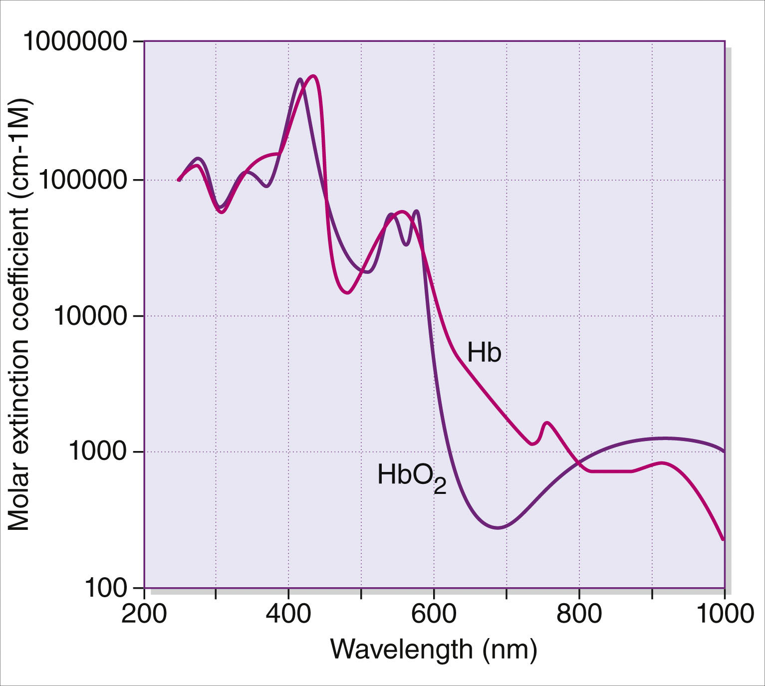A line graph plots the molar extinction coefficient against wavelength for H b and H b O 2 with multiple peaks and crossings. The line graph plots the molar extinction coefficient on the vertical axis, ranging from 1 to 1000000, and wavelength in nanometers on the horizontal axis from 200 to 1000. Two labeled curves represent H b and H b O 2. The H b curve has multiple peaks, with the highest around 420 nanometers. The H b O 2 curve also shows multiple peaks, with its highest slightly above 400 nanometers. The two curves intersect around 580 nanometers and again between 800 and 900 nanometers. H b remains higher than H b O 2 across most of the range above 600 nanometers.