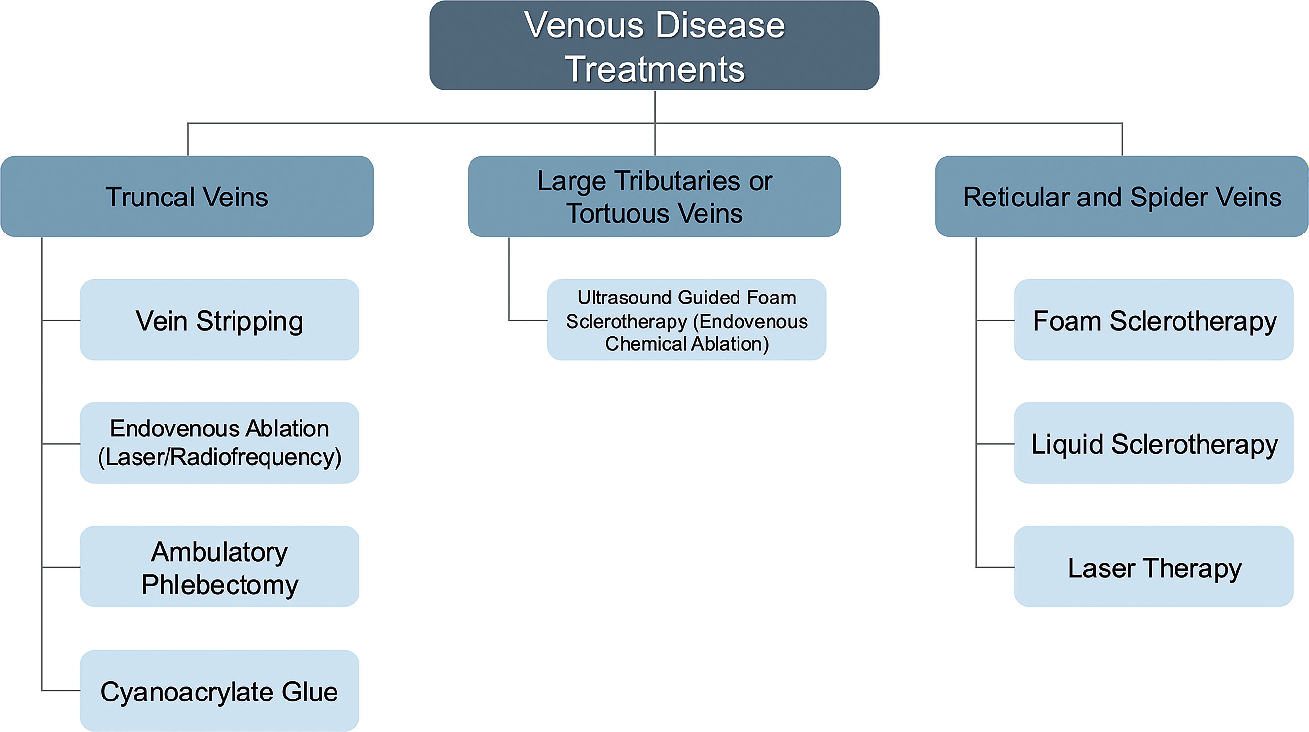 A flowchart is titled Venous Disease Treatments and presents treatment options for the legs. The flowchart is titled Venous Disease Treatments. It has three main branches. The first branch is Truncal Veins with four treatments, namely Vein Stripping, Endovenous Ablation, Laser Radiofrequency, Ambulatory Phlebectomy, and Cyanoacrylate Glue. The second branch is Large Tributaries or Tortuous Veins with one treatment, namely Ultrasound Guided Foam Sclerotherapy Endovenous Chemical Ablation. The third branch is Reticular and Spider Veins with three treatments, namely Foam Sclerotherapy, Liquid Sclerotherapy, and Laser Therapy.