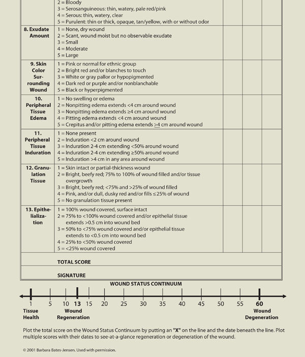 How To Chart Wound Assessment