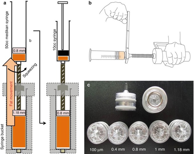 A310000_1_En_13_Fig2_HTML.jpg