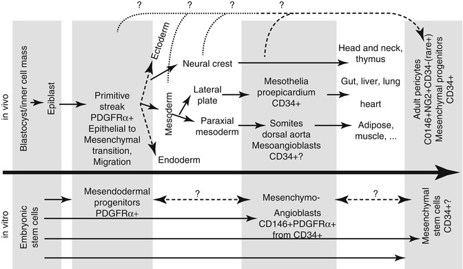 A310000_1_En_9_Fig4_HTML.jpg