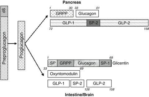 A310499_2_En_3_Fig2_HTML.gif