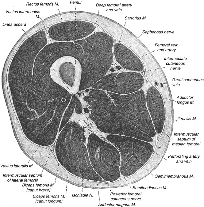 A315234_1_En_10_Fig2_HTML.jpg