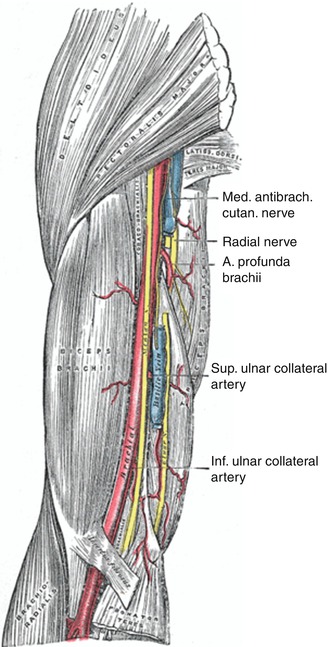 A315234_1_En_4_Fig3_HTML.jpg