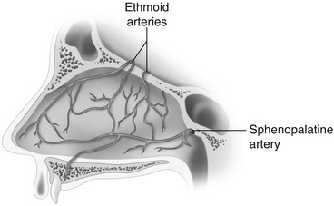 septum and turbinate surgery