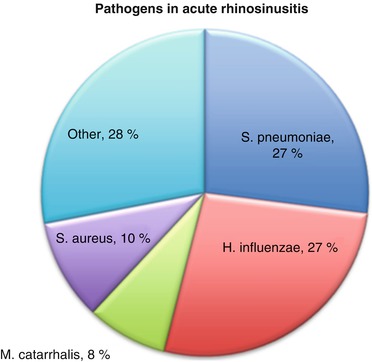 Staphylococcus aureus as a cause of refractory chronic rhinosinusitis