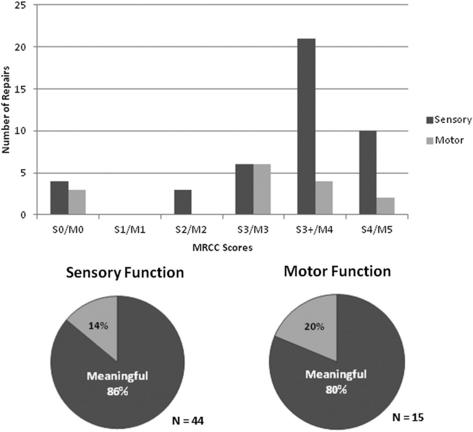 Outcome Following Nerve Repair In The Upper Extremity Using Processed