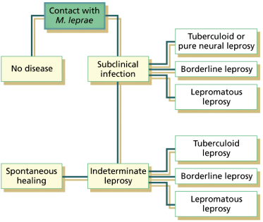 tuberculoid leprosy symptoms