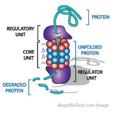 part_5.3_fig3.jpg