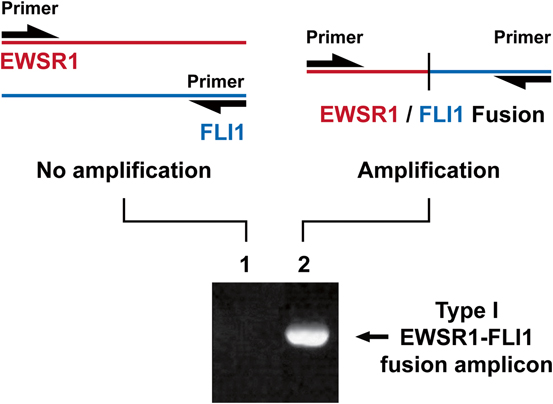 A215503_1_En_3_Fig4_HTML.jpg