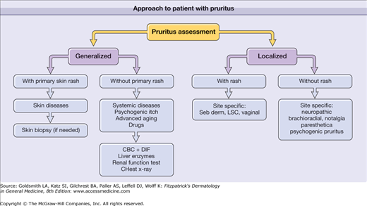 Pathophysiology And Clinical Aspects Of Pruritus Plastic Surgery Key