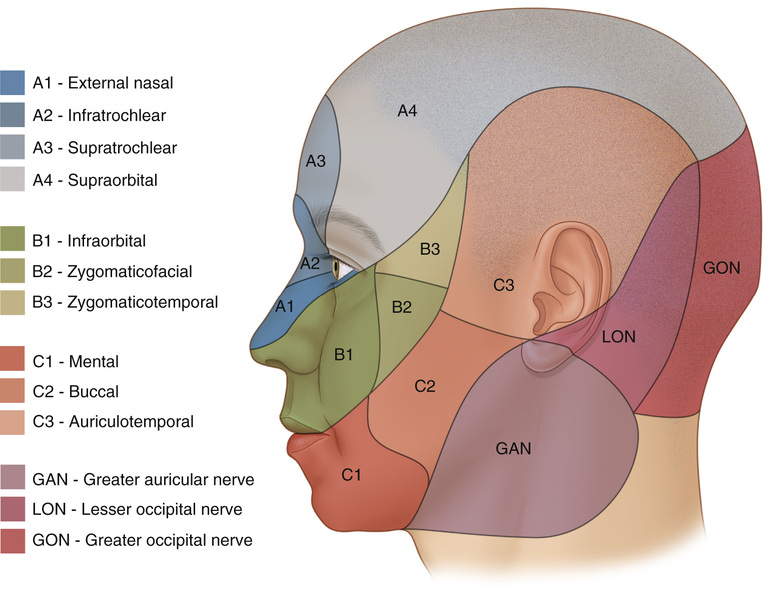 Rhytidectomy and Neck Rejuvenation | Plastic Surgery Key