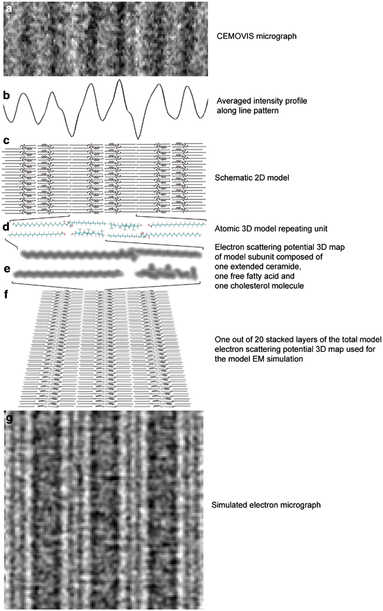 A313874_1_En_3_Fig6_HTML.gif