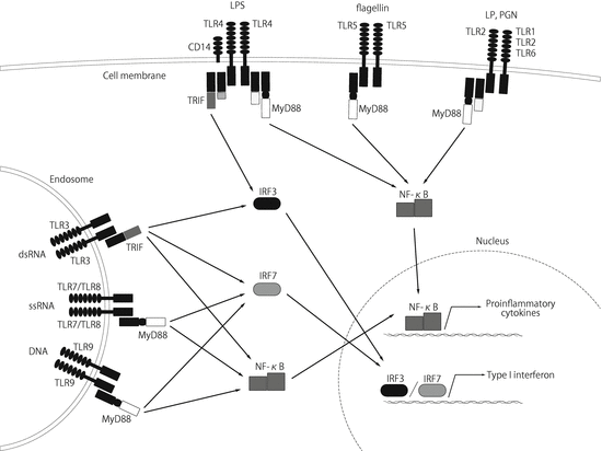 A316716_1_En_16_Fig1_HTML.gif